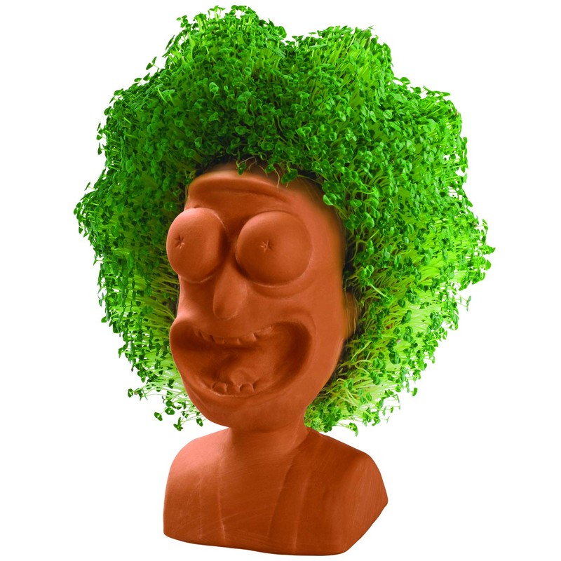 Chia Pet Rick & Morty - Rick with Seed Pack,