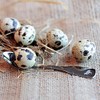 Quail Egg Spoon with Engraving - Quail Eggs - Small