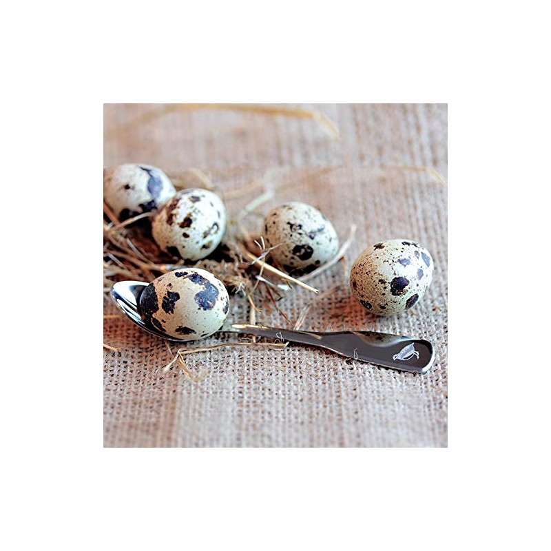Quail Egg Spoon with Engraving - Quail Eggs - Small