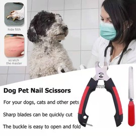 ZLXFT Krallenschere für Katzen, Krallenschere für Kätzchen, Krallenschere für Hunde, Krallenschere für Katzen, Krallenschere für Welpen, Kätzchen, Kleintiere