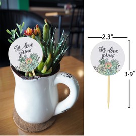 Let Love Grow Succulent Tags Wedding Favors, Greenery Succulent Wedding Favor Tag, Let Love Grow Favor Tags Sticks,Bridal Shower Favor Tag,Baby Shower Tag for Party Succulent Pots Decorations - 30pcs
