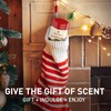 Old Spice Antiperspirant & Deodorant for Men, Holidudes Limited Edition,