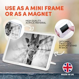 1 x Fridge Magnet - Pretty Giraffe Wildlife Africa African #35102