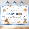Mocsicka Cookie Baby Shower Backdrop A Sweet Baby Boy is