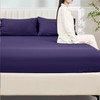 My Home Store Fitted Sheet 100% Egyptian Cotton 300TC Hotel