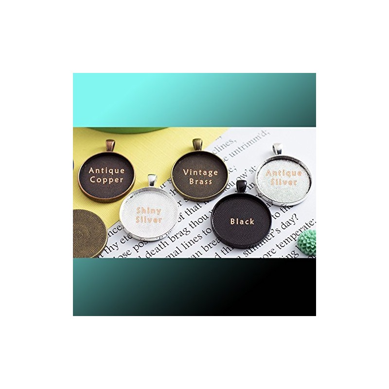 Fire and Ice Phoenix - pendant necklace - HM