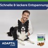 ADAPTIL Chew for Dogs | Calming Product for Relaxed Dogs