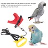 Bird Harness Leash Elastic Easy To Wear Portable Bird Traction