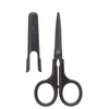 Raymay Fujii KP4B Scissors Kept Fluorine Coat, Sumi Black
