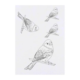 4 x 'Eurasian Chaffinch' Temporary Tattoos - Water Resistant, Skin-Safe, Non-Toxic Transfers, Mixed Sizes (TO00079326)