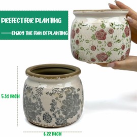 Dosayes Vintage Grey Ceramic Ice Crack Flower Pot with Drainage Holes, Country Rustic Planters for Indoor and Outdoor,Tuscan Decor,Home,Living Room, Garden Decor, Gardening Gift