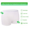 HANSILK 8 Count Mesh Underwear Postpartum, Disposable C Section Underwear