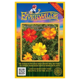 Everwilde Farms - 500 Bright Lights Mix Cosmos Wildflower Seeds - Gold Vault Jumbo Seed Packet