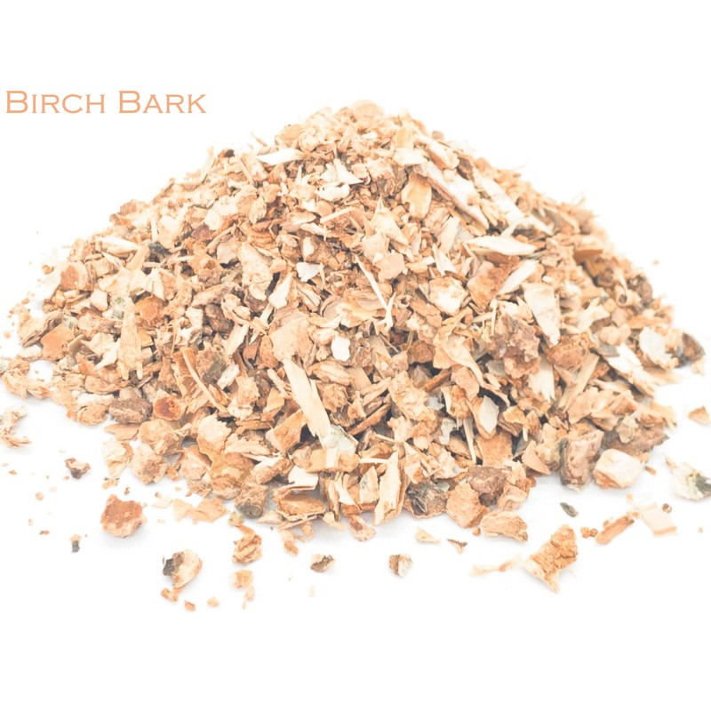 Birch Bark Pure Herbal Infusion (25 Unbleached Tea Bags -