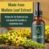 BetterLungs Mullein Leaf & Chlorophyll Extract Drops For Lung Detox