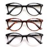 3 Pack Reading Glasses Spring Hinge Stylish Readers Black/Tortoise for