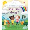 Lift-the-Flap Very First Q&A: What are Clouds?
