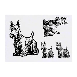 4 x 'Scottish Terrier Dog' Temporary Tattoos - Water Resistant, Skin-Safe, Non-Toxic Transfers, Mixed Sizes (TO00071548)