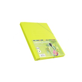 Pack of 5 Folders Folio Size with Flap and Elastic Rubber Apple Colour