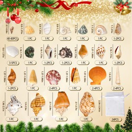 Advent Calendar 2024, Seashells Advent Calendar for Kids Teens Adults, 24 Days Christmas Countdown Calendar with Sea Shells for Learning Collection DIY Decoration, Xmas Gifts for Boys Girls Men Women