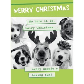 Merry Christmas So Here It Is Hairy Christmas Every Doggie's Having Fun Christmas Card