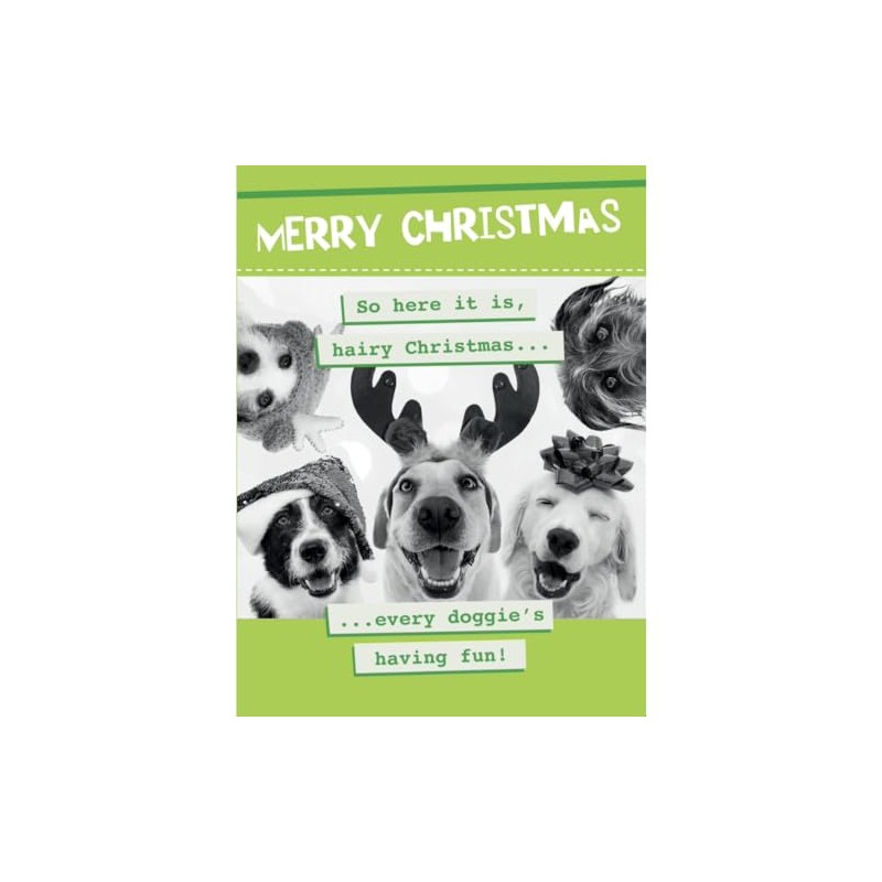 Merry Christmas So Here It Is Hairy Christmas Every Doggie's
