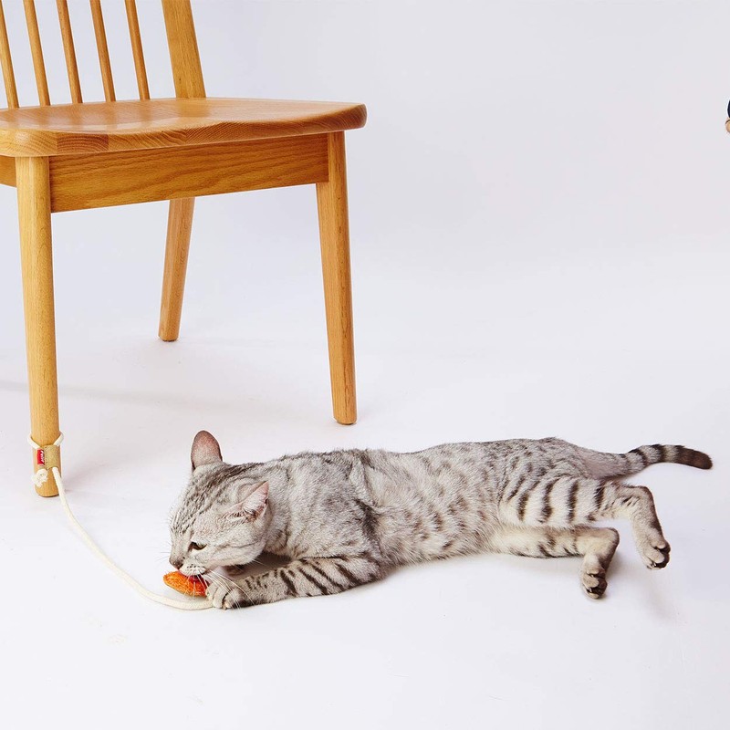 Petio Cat Toy, Loofah Leather, Dental Toys, String Toy, Orange