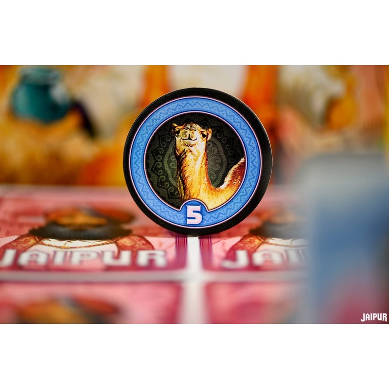 Space Cowboys Jaipur New Edition, Colour (SCJAI01ES)