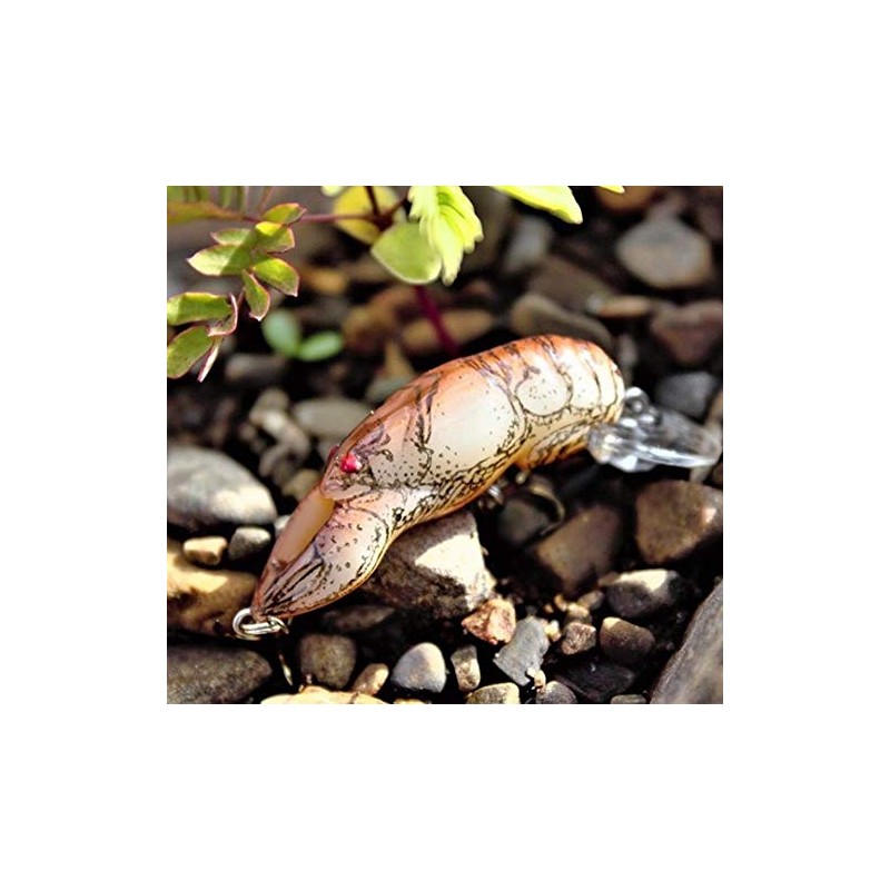 Rebel Lures F7640 Lures Wee Crawfish Fishing Lure (2-Inch, Texas