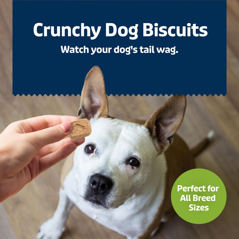 Blue Buffalo Health Bars Mini Crunchy Dog Biscuits, Oven-Baked with
