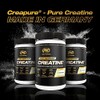 PVL Creapure Creatina - 100% Puro Polvo de Monohidrato de