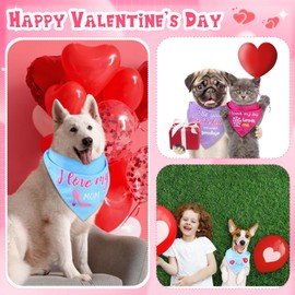 Clysee 100 Pcs Valentine's Day Dog Bandana Bulk with Sayings Pet Triangle Scarf Bibs Washable Puppy Kerchief Adjustable Grooming Supplies for Small Medium Large Dog Cat Costume Accessories