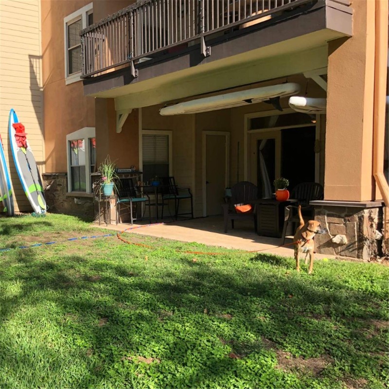 Siumouhoi Dog/Puppy Obedience Recall Training Agility Lead - 15ft 20ft