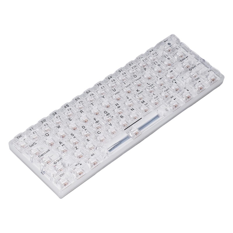 61 Keys Transparent Mechanical Keyboard Clear Keycap Wired Gaming Keyboard
