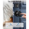 WREO Keypad Smart Door Knob Lock, Keyless Entry Door Lock