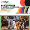 CooBigo Polypropylene Webbing Strap 3/4" Durable Poly Strapping 12 Yards