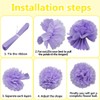 Ruidee 12 Pieces Tissue Paper Pompoms 10in and 12in Hanging