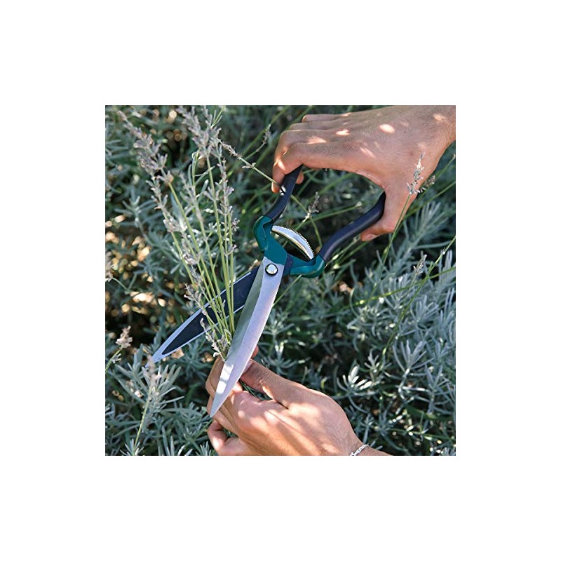 Burgon & Ball RHS Endorsed Shrub Shear, 30.5 cm Length