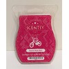 Scentsy Rockin' Ruby Razz Bar Wickless Candle Tart Wax, 8