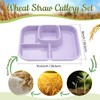 Pinkunn 8 Pcs 10'' Divided Plates Unbreakable Wheat Straw Dinnerware