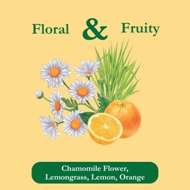 Tadin Chamomile Citrus Tea, Herbal Tea, Caffeine Free Tea, Tea Bags Individually Wrapped, 24 Tea Bags Per Box, Pack of 6