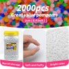 Bundooraking Pom Poms, 0.4inch (1cm), 2000pcs White for Crafts