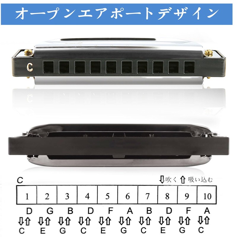 EVERJOYS Diatonic Harmonica 10 Hole Blue Harp Case, Polishing Cloth,