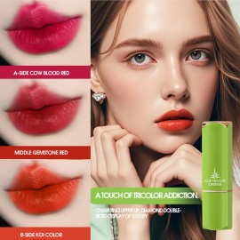 Barra De Labios De Larga Duración Brillo Labial De Color Cam