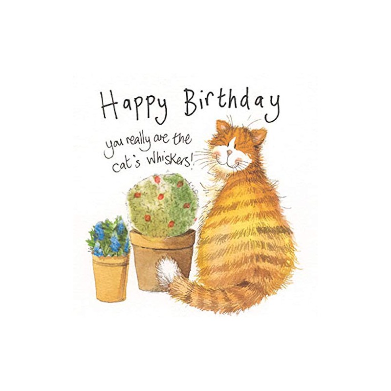 Alex Clark Cat's Whiskers Birthday Card