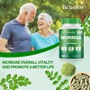 Moringa Capsules | 800mg Pure Moringa Powder Capsules – Supports