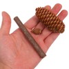 Holibanna 1 Pack Christmas Craft Small Pine Cones Rustic Mini