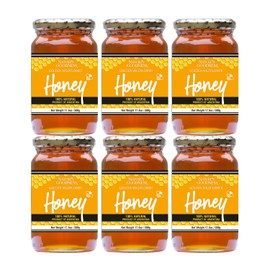 Nature's Goodness Golden Wildflower Honey in Glass Jar - Pure Real Honey for Tea, Baking & Cooking - 17.6 Oz (6 Pack) - 6.6 Pound Total