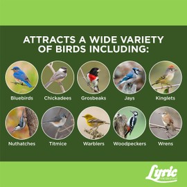 Lyric Fine Tunes No Waste Wild Bird Seed Suet Cakes for Wild Birds, 12 oz. (12 Pack)