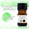 Natural 100% Eucalyptus Globulus Oil 5ml Aroma Oil Eucalyptus